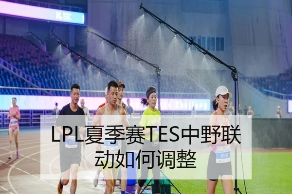 LPL夏季赛TES中野联动如何调整